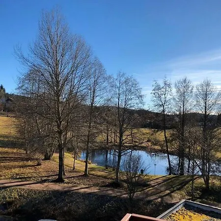 Schluchseetraum Schluchsee