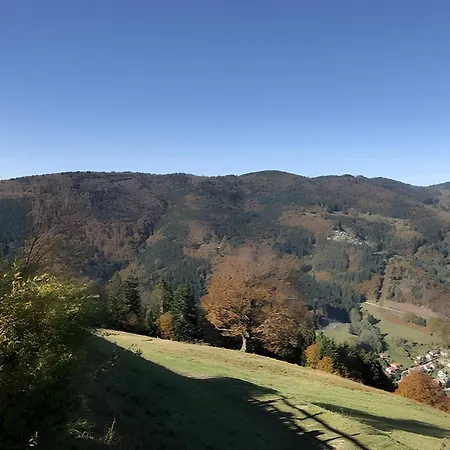 Schluchseetraum *